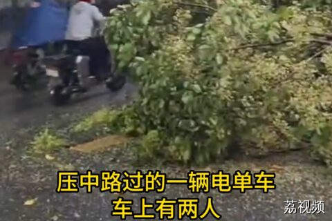 强对流天气来袭 一老人和孙女被落树枝压到