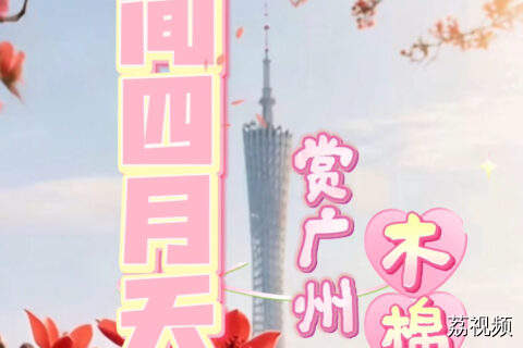“人间四月天”！赏广州木棉花