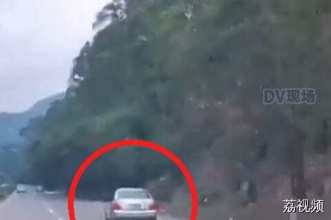#肇庆一小车撞向路边引发山火