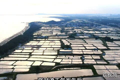 强对流天气发生后，水产养殖户如何应对？