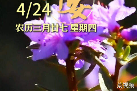 4月24日 | 每日问候传真情 愿您与美好相伴 平安相随