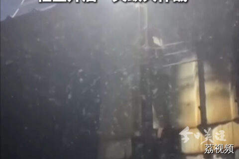 中山小榄飞蚊密集成灾 社区开启“灭蚊大作战”