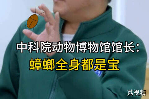 中科院动物博物馆馆长：蟑螂全身是宝