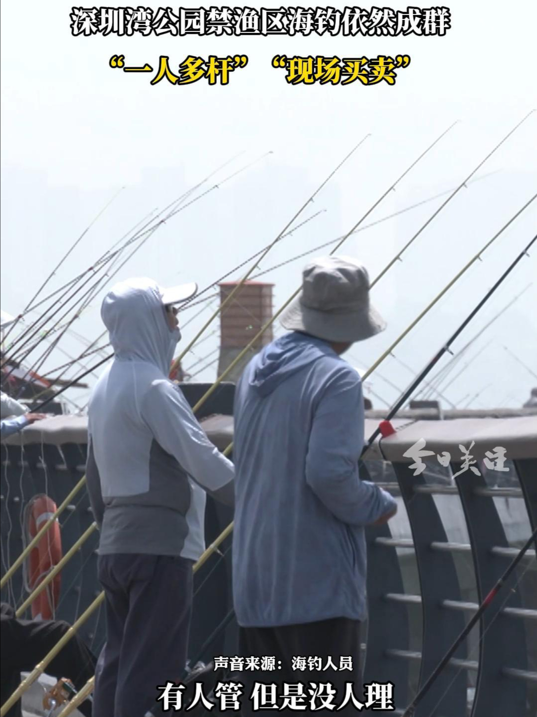 深圳湾公园禁渔区海钓依然成群 “一人多杆”“现场买卖” | 荔视频