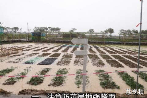 强对流天气来临，农业生产如何防范？