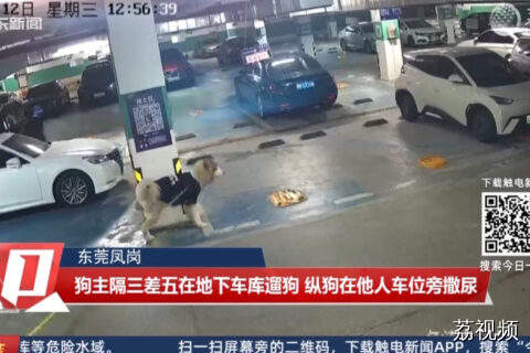男子车库遛狗纵容其四处撒尿，物业多次劝阻无效