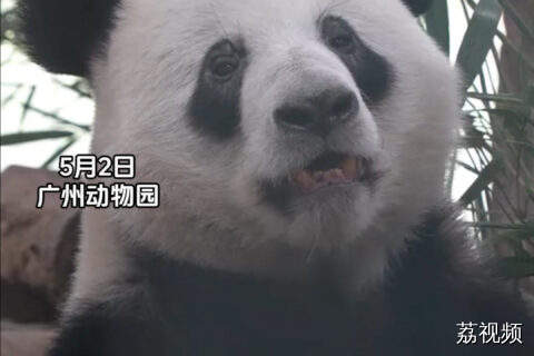五一“加班”的模样太真实了