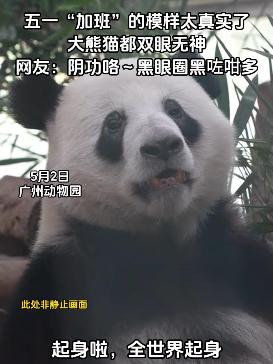 五一“加班”的模样太真实了 | 荔视频