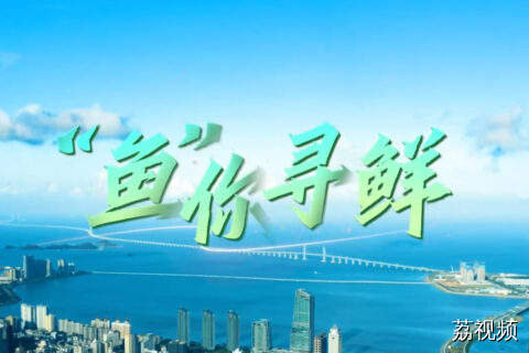 “鱼”你寻鲜