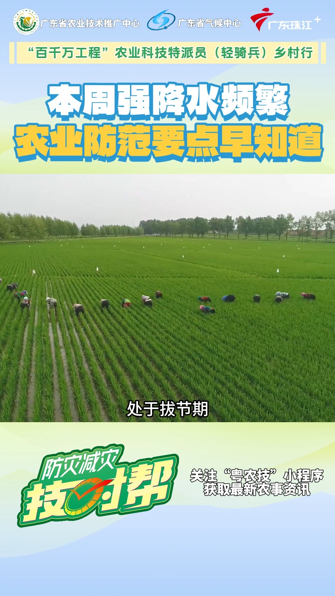 本周强降水频繁，农业防范要点早知道