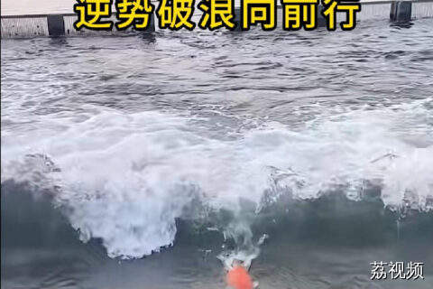 鲤跃激流志不屈，逆势破浪向前行