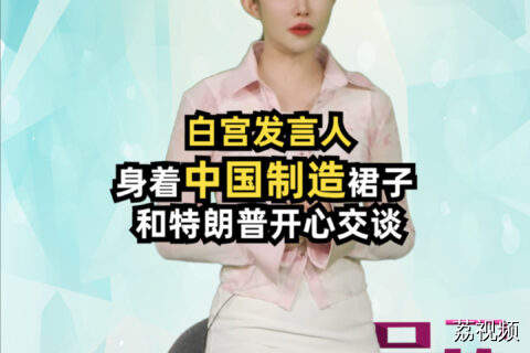 白宫发言人 身着中国制造裙子和特朗普开兴交谈 #吴荻说