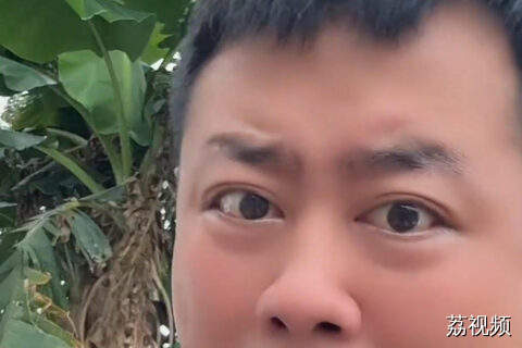 东北网友感叹：南方绿化带都那么高级吗？