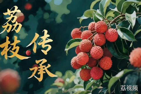 《荔枝传承》