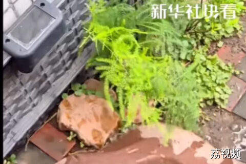 龟龟：包租婆，点解突然间没水啊！