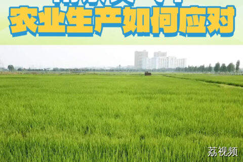 雨水天气下，农业生产如何应对？