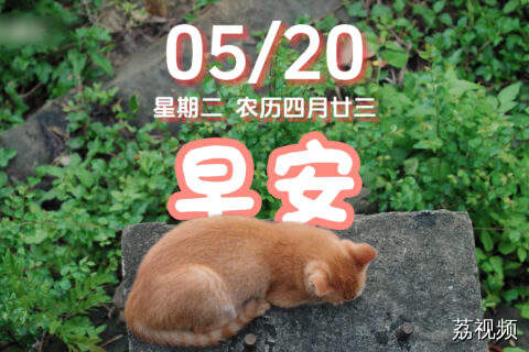 早晨，5月20日