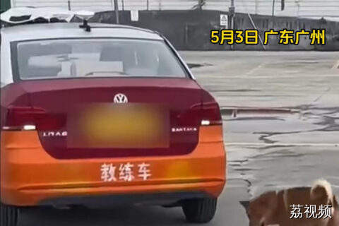 狗教练“指导”学员倒车 学员可以根据它的报点成功入库