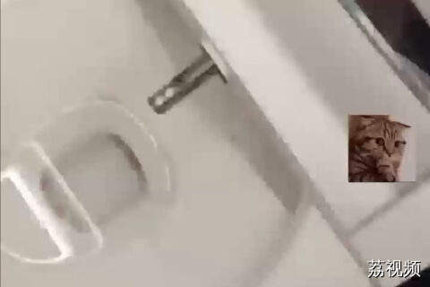 智能马桶乱呲水被男子拿锤子教训
