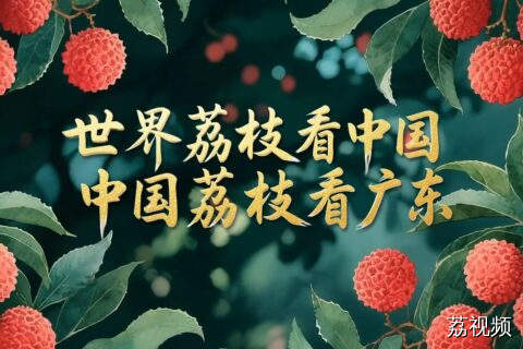 世界荔枝看中国 中国荔枝看广东