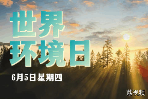 世界环境日：守护万物共生的美丽地球