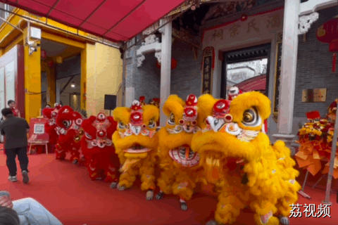 “冼村杯”2025年狮王争霸赛 | 中国顺德外村龙狮团