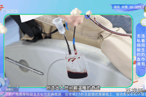 无私捐献的血液 连着陌生的你我