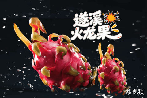 100个岭南土特产——遂溪火龙果