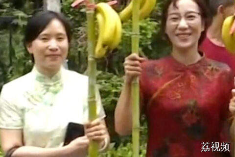 广东妈妈的高考仪式大赏，有“蕉”一日，掂过碌蔗
