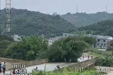 广西一地桥梁被河中竹林冲撞  竹林“爬”上岸的科幻片即视感