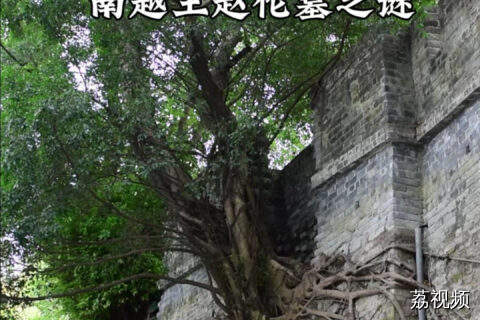 探秘！南越王赵佗墓在哪？博物馆里另有其人