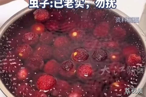 筋膜枪“再就业”！女子用筋膜枪震杨梅跑出大量白虫！