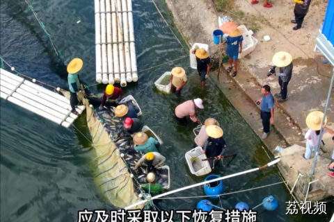 台风过后的水产养殖恢复措施
