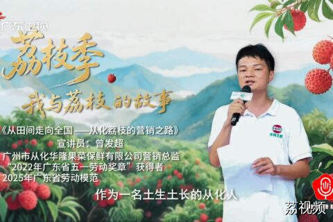 《从田间走向全国--从化荔枝的营销之路》