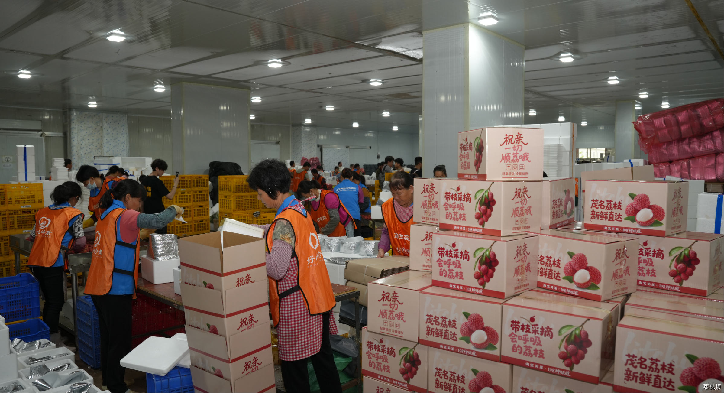 生鲜半托管助力农产品上行，茂名荔枝在淘宝销量增长216%