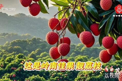 6•6给荔节《荔枝颂》曾小敏 叶枫华