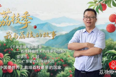 《千年荔脉 粤韵新章——荔枝种植技术的传承与创新》