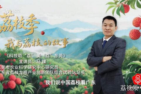 马锞：《科技助“荔” 美“荔”东莞》