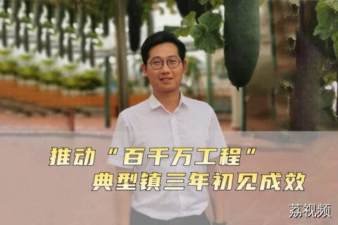 《推动“百千万工程”典型镇三年初见成效》