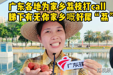 广东各地为家乡“荔”量打call
