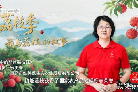 《梦中的那片荔枝红》