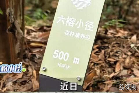 白云山上新路线啦