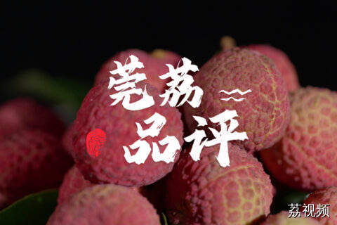 东莞高端荔枝大比拼，谁能脱颖而出？