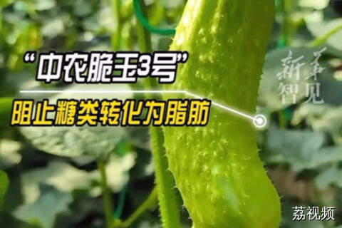 能减肥的黄瓜来了！快来@你正在减肥的朋友