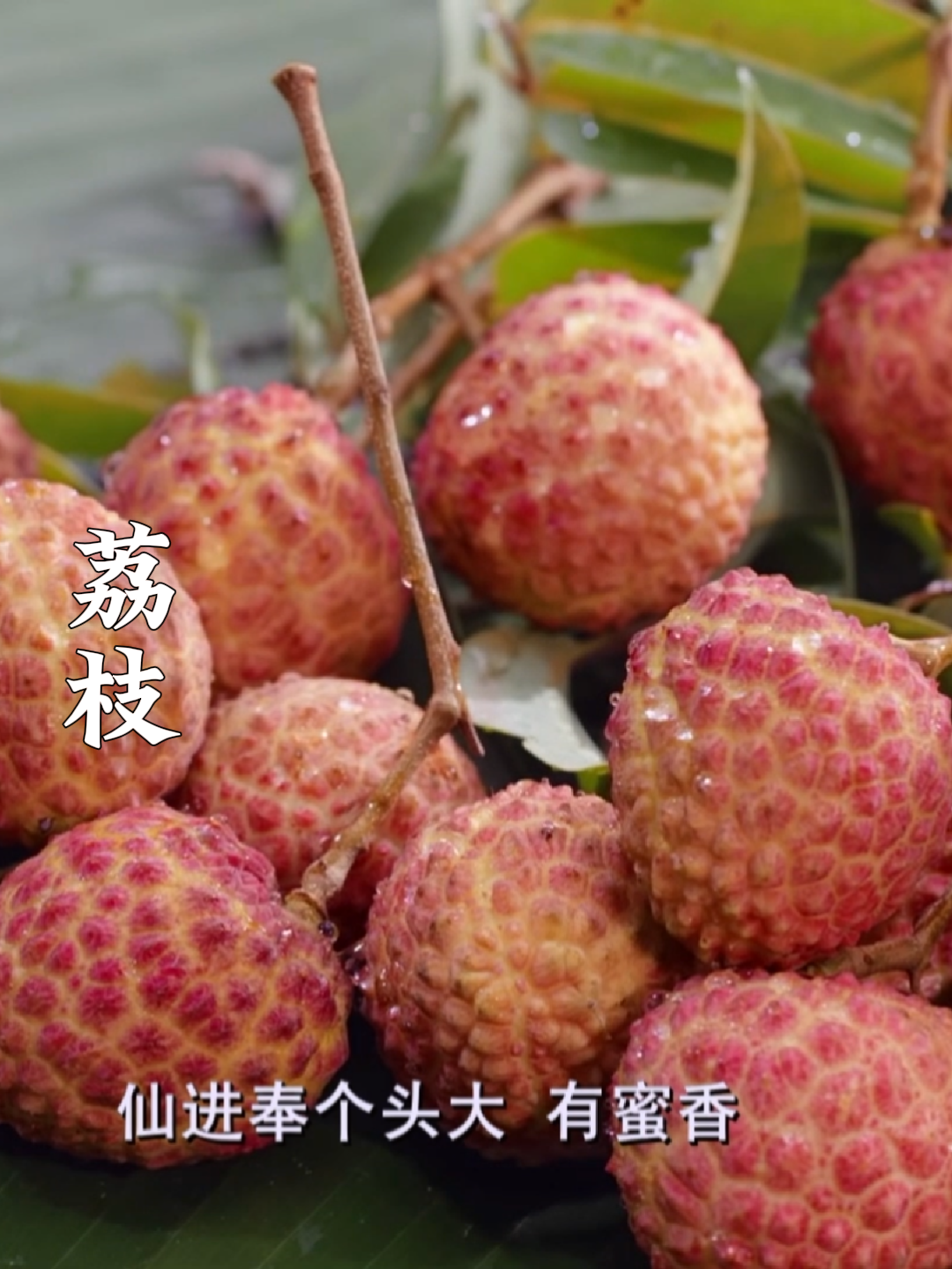 荔枝除了可以做荔枝煎,还可以做菜,快来解锁荔枝的更多吃法~ | 荔视频