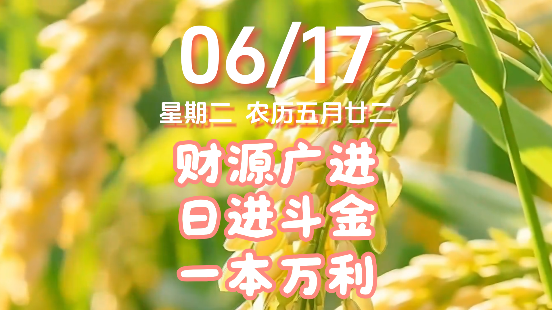 今天是6月17日，星期二