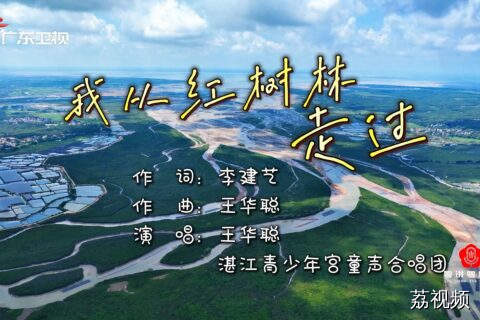 歌曲：《我从红树林走过》