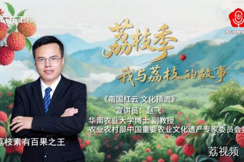 《南国红云 文化顶流》