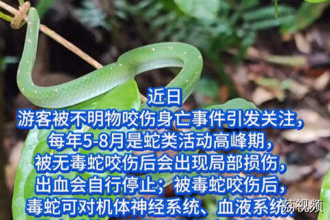 已进入活跃期！转发提醒！广东多家医院可打抗蛇毒血清！