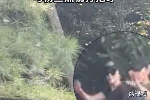 网友偶遇梁朝伟刘嘉玲晨练